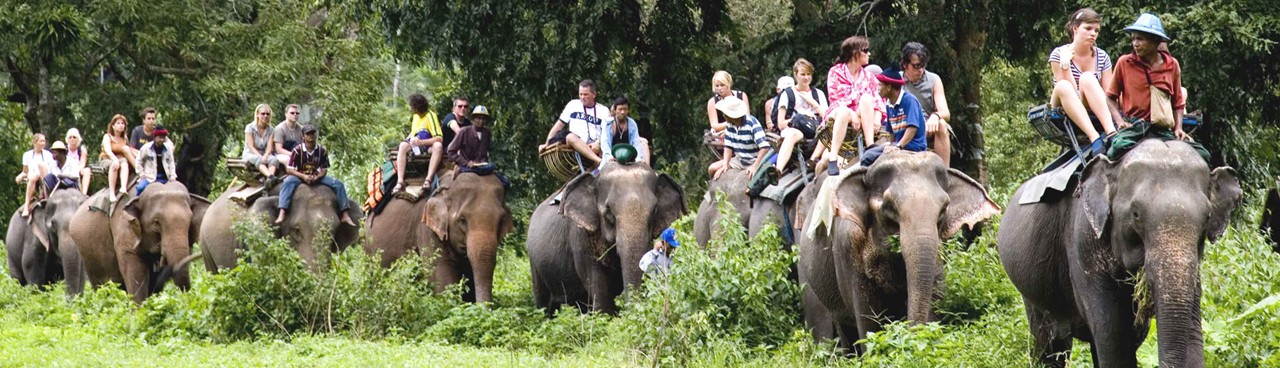 National Parks in India