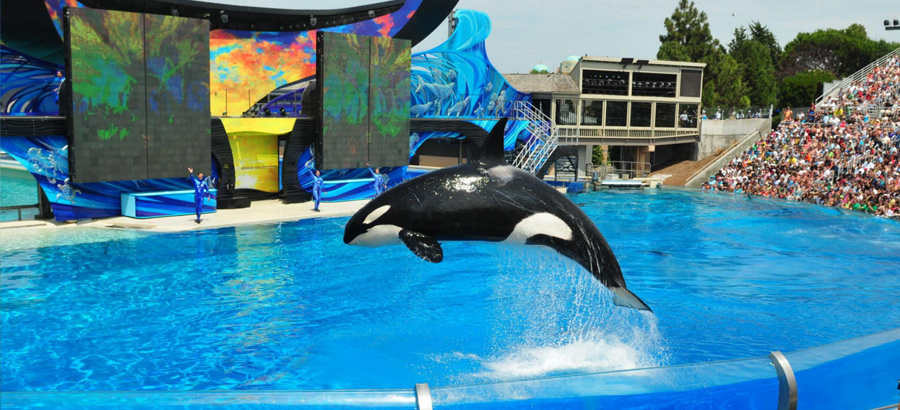 East Coast Of Usa Tour