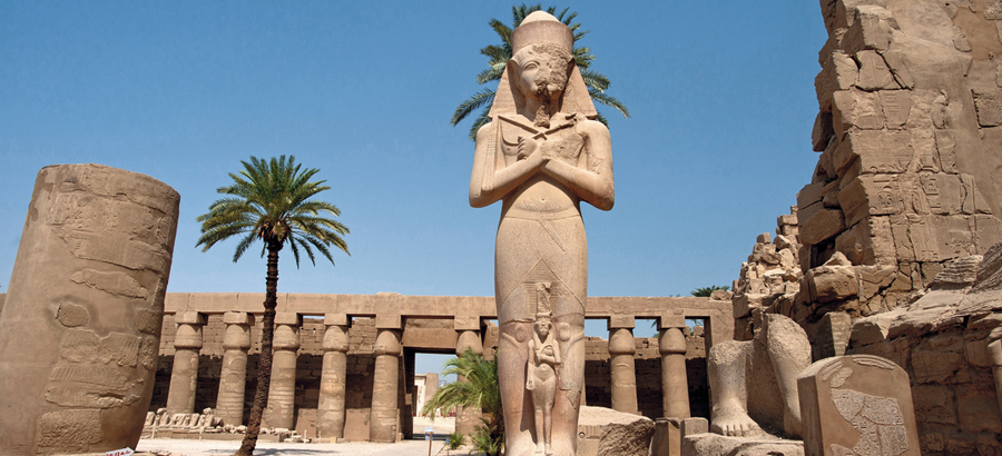 Egypt Delight