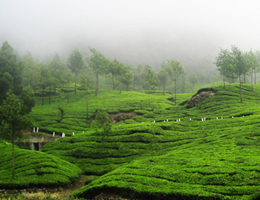 Fabulous Kerala