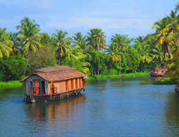 Kerala Nature
