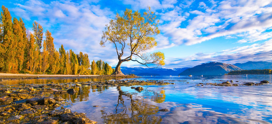 Lakes Of New Zealand