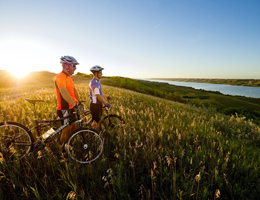 Wonder Of New Zealand