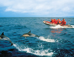 Zanzibar Island Tour